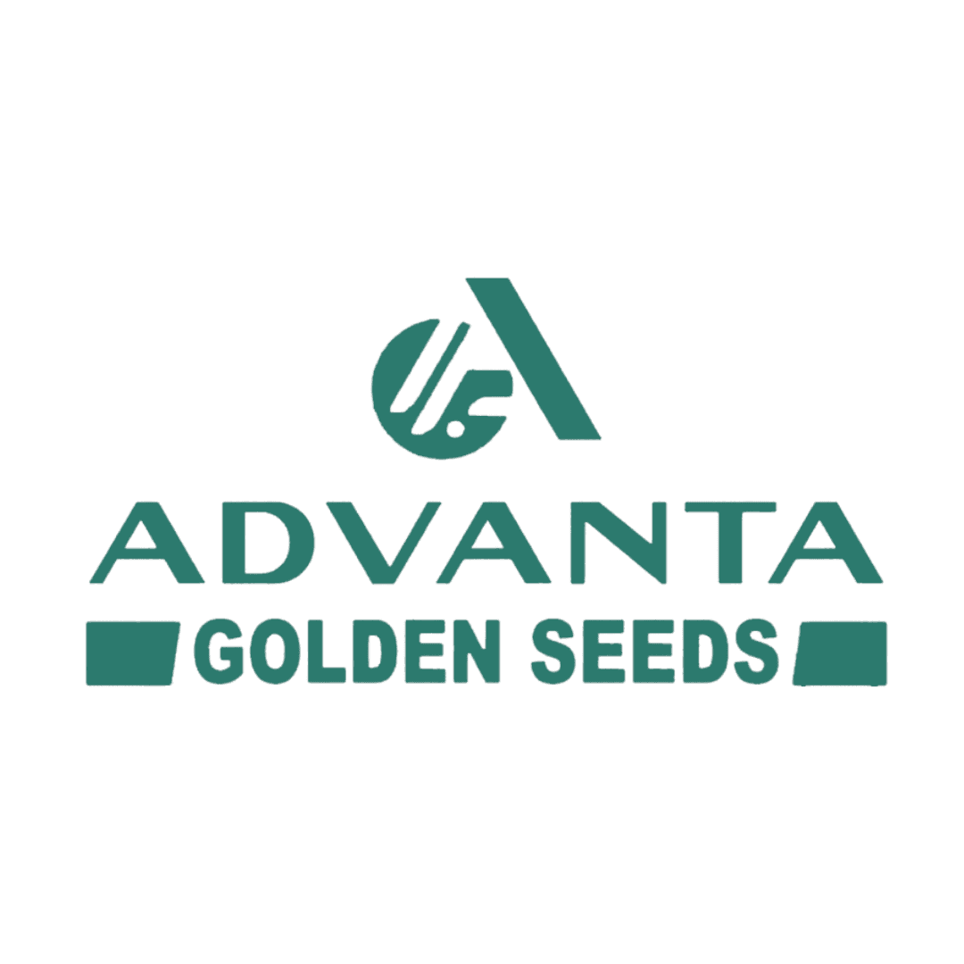 Logo 3