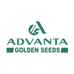 Logo 7