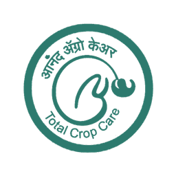 Logo 8