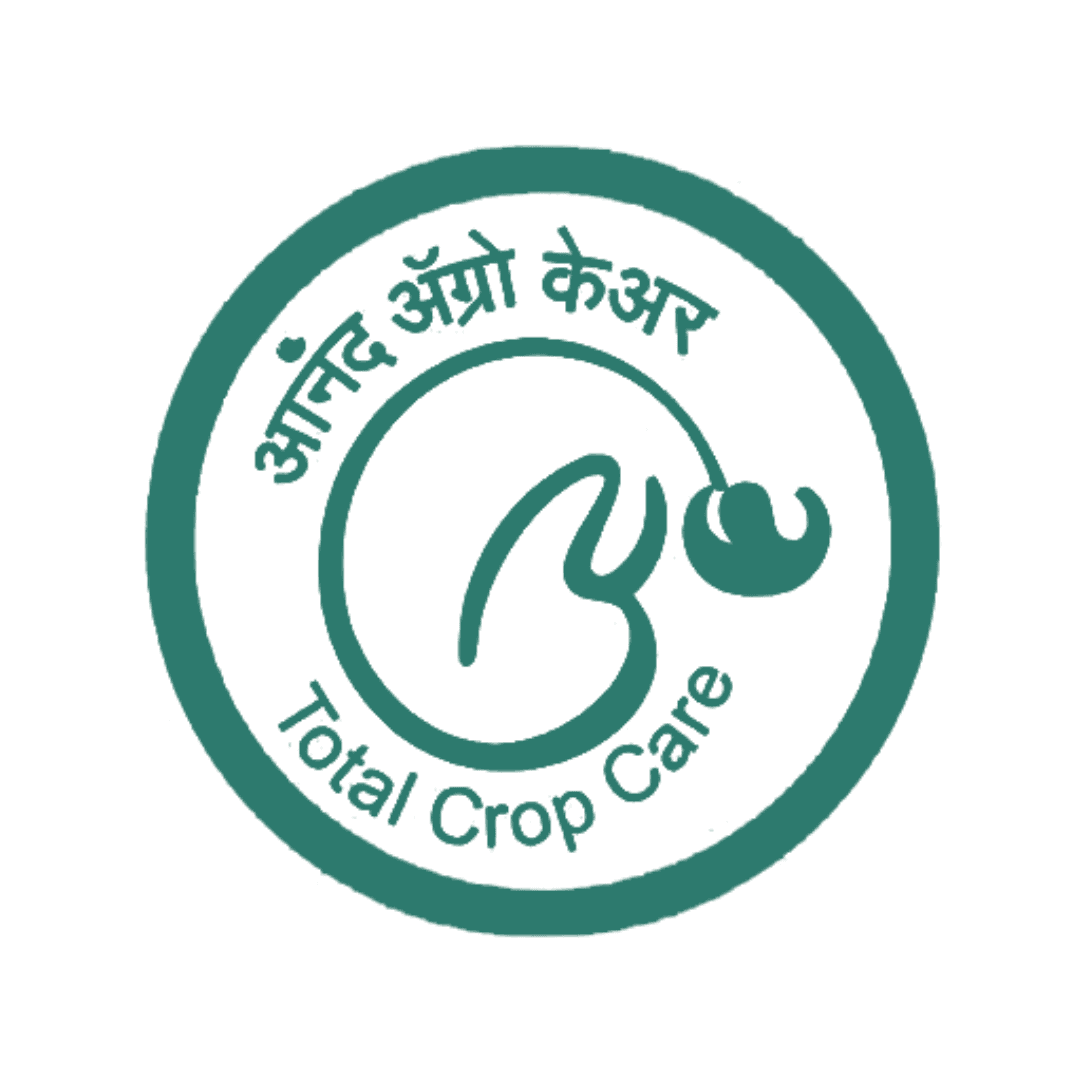 Logo 4
