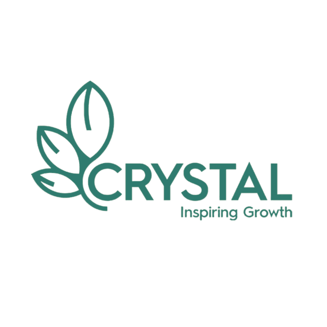 Logo 6