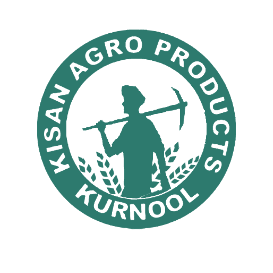 Logo 13
