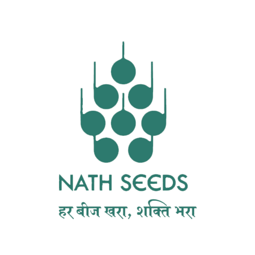 Logo 14