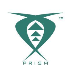 Logo 3