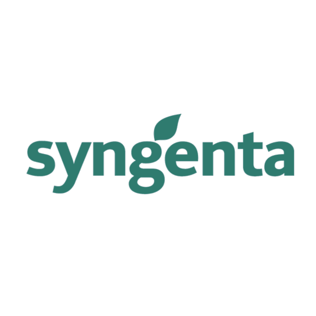 Logo 20