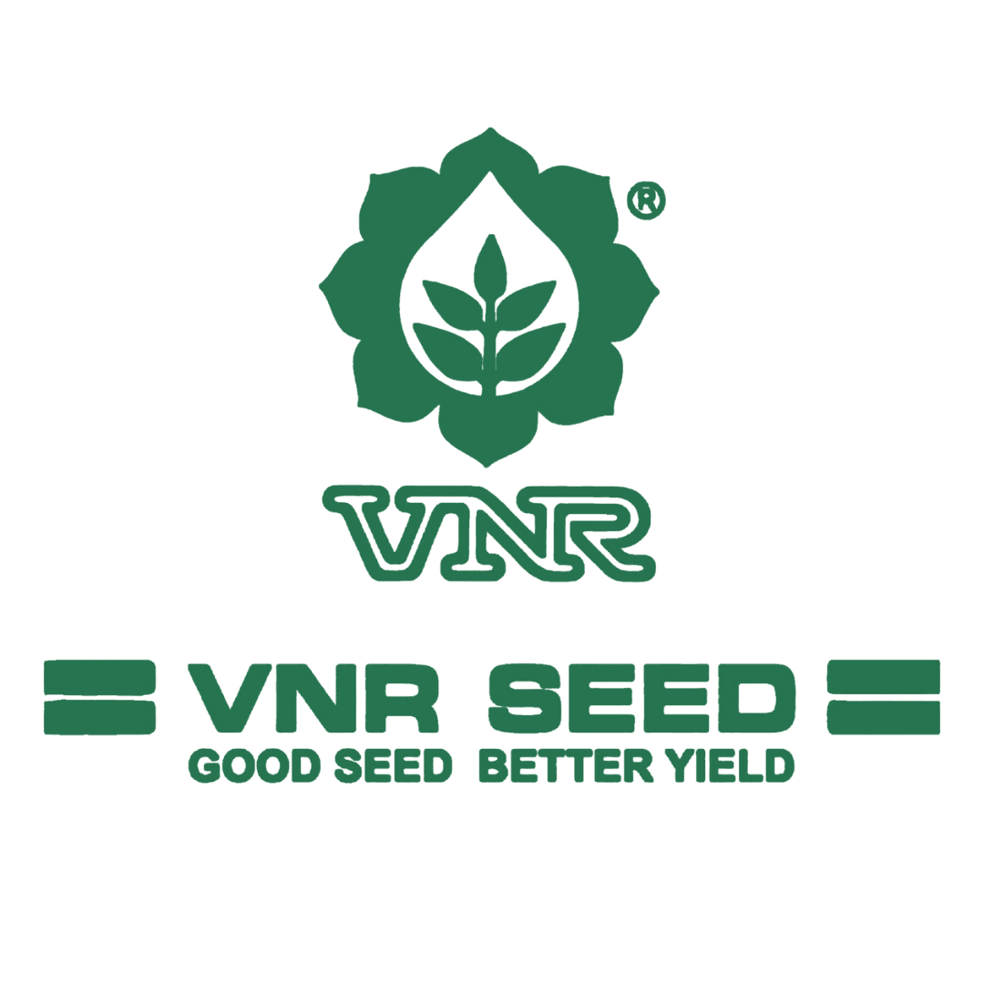 Logo 8