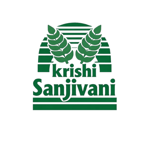 Logo 7