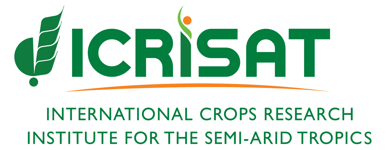 Logo 13