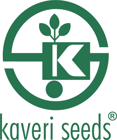 Logo 17