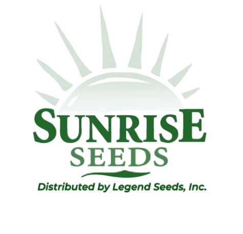 Logo 9