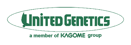 Logo 8